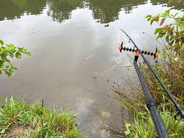 Peaceful 🎣