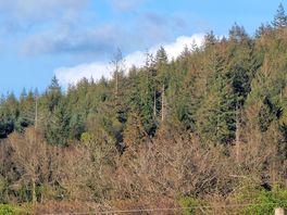 View from lakemoor towards chumleigh