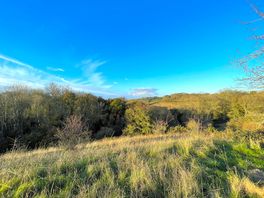 The View views