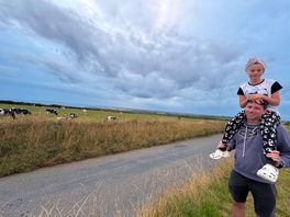 Cow visits after a late night surf