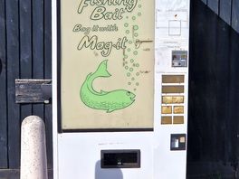 Maggots