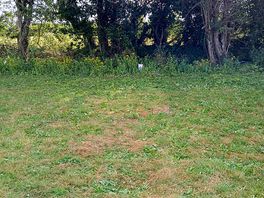Our pitch