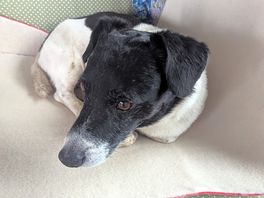 Friendly jrt