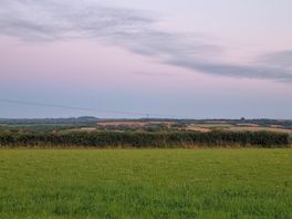 Evening view.
