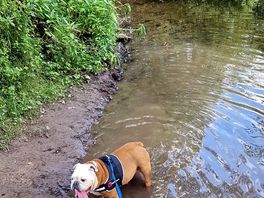 River next to site