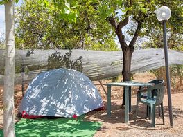 Pitch in the shade of the trees