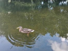Very friendly wildlife