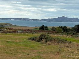 Views from the site