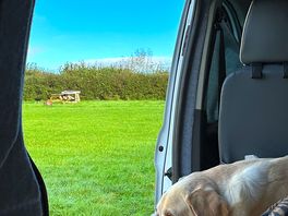 Barney enjoying the peace