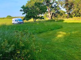 Enjoying the green space