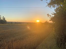 Sunset.