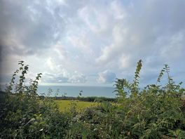 View from our tent