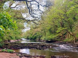 Tranquillity