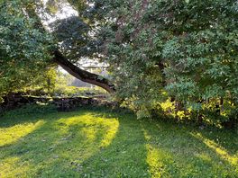 Sun dappled pitch