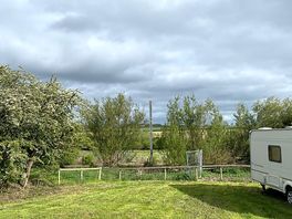 Lots of greenery