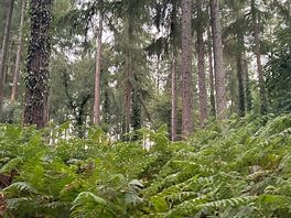 Great walks