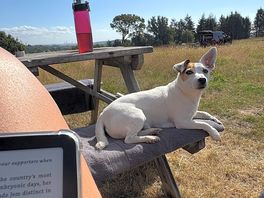 Picnic benches dotted around