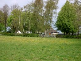 View from dog field
