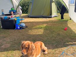 Dig enjoyed it too !