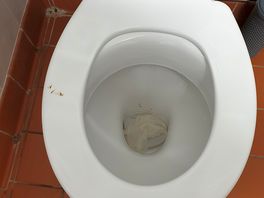 Poo on the seat. sorry for the photo.