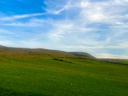 Scenery from the site