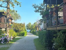 Allee
