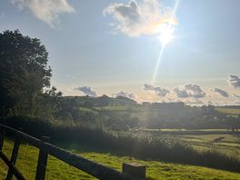 A local walk