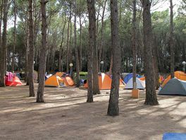 Camping pitches