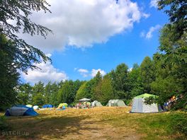 Group pitches in the woodland meadow