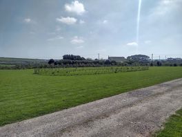 Campsite