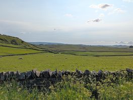Field near camp