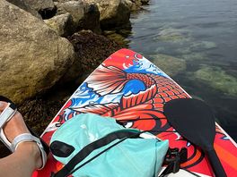 Portland harbour paddling