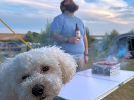 Bbq
