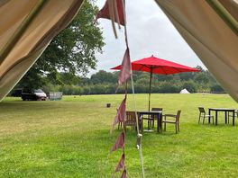 View from yurt