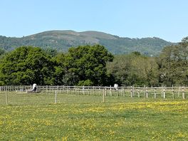 View of the hills