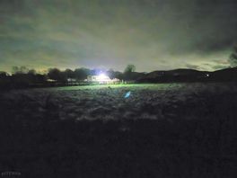 Night time in the dog field