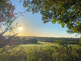 Sunrise from the field behind the site