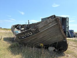 Dungeness