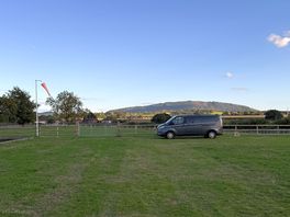 Quiet paddock