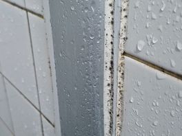 Shower wall