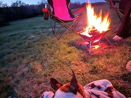 Dog friendly!