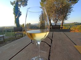 Lokalne wino