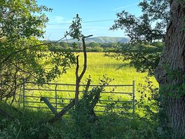 Beautiful view from our pitch.