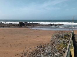 The beach.