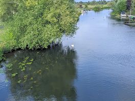 River view