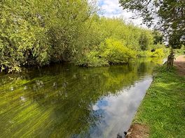 Gorgeous view on one of the available trails