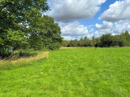 Beautiful field