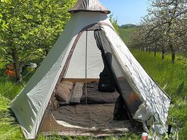 Our tent in the orchard