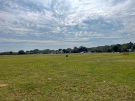 Primrose fields