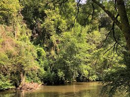 Swim spot !